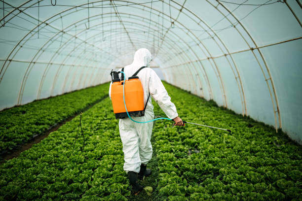 Best Pest Inspection Near Me  in , MI