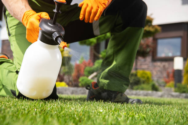 Best Local Pest Control Services  in , MI
