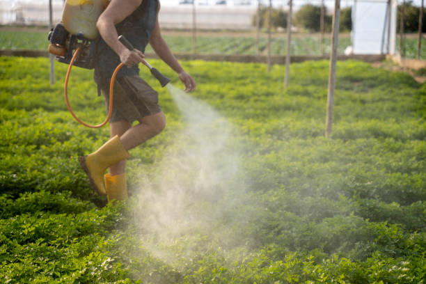 Best Pest Control Cost  in , MI