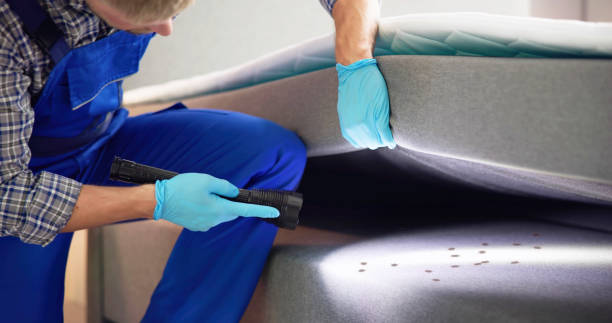 Best Bed Bug Extermination  in , MI