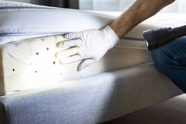 Best Pest Control Near Me  in , MI