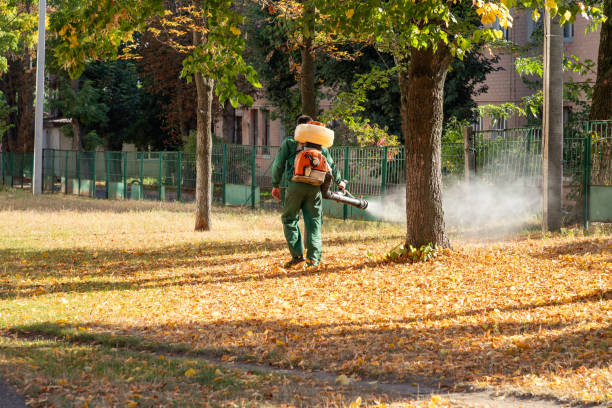 Best Pest Control for Homes  in , MI