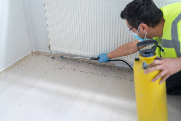 Best Ant Control Services  in , MI