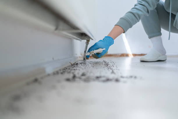 Best Wasp Removal Services  in , MI